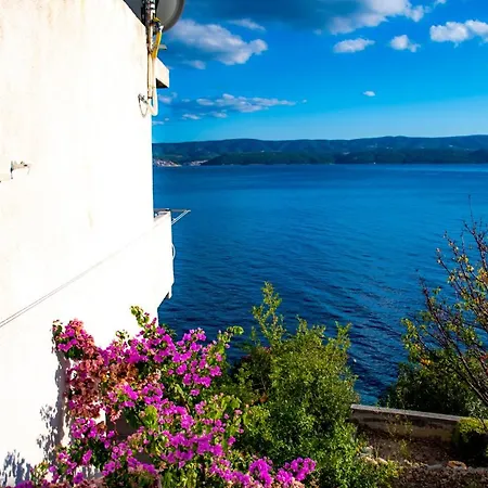 Appartamento Lile By The Sea, Zavode