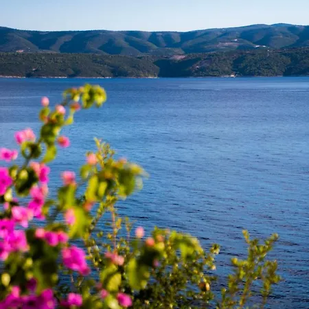 Lile By The Sea, Zavode